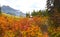 Cabins at Emerald lake with fall foliage in British Columbia, Canada