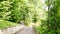 Cabins in Great Smoky Mountains National Park. Tennessee. Blue Ridge Mountains, North Carolina. Appalachian.