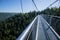 cable bridge at Bad Wildbad south Germany