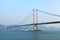 Cable bridge in Hong Kong