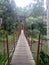 Cable bridge in the sinharaja forest