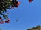 Cable Car on Blue Sky in Alanya Antalya Turkey