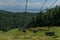 Cable car with empty seats among coniferous trees in green forest on hill in mountains, sunny summer blue sky with white clounds