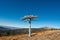 Cable car pylon high in the mountains