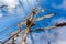 Cable ladders, mast and ropes of a sailing ship against the blue sky. Concept of travel, adventure and sea.