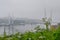 Cable-stayed bridge over Golden horn Bay in heavy fog before cyclone period in summer, Vladivostok