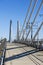 Cable Transportation and pedestrian Tilikum Crossing Bridge across Willamette River in Portland Oregon