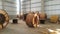 Cable wood rolls in the warehouse.  packing industrial machinery