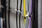 Cables fastened with white ties on the cable ladder. Black, gray, yellow, purple wires. Cable management. Close-up