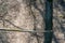 Cables and ropes of the suspension bridge close-up. Repair of the old bridge over the river. Rusty iron cables or wires