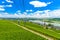 Cableway cablecar above vineyards near Rhein Rhine river in Rued