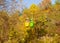 Cableway with multicolored cabins