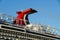 Cabo San Lucas, Mexico - November 7, 2022 - The top whale tail of the Carnival Panorama cruise ship