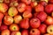 Cabourg, France - october 10 2020 : apples