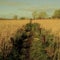 Cabra Wetlands near Thurles,Co Tipperary