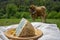 Cabrales artisan blue cheese made by rural dairy farmers in Asturias, Spain