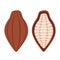 Cacao beans, brown organic plant, fruit of chocolate. Flat style