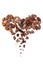 Cacao beans heart