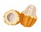 cacao fruit bean icon