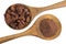 Cacao powder and cacao beans presented in a wooden spoon
