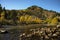 Cache La Poudre River