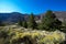 Cache La Poudre Wild and Scenic River Valley