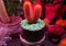 Cactaceae are a family of perennial flowering plants of the order Carnations