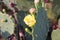 Cactaceae. Opuntia ficus-indica.