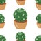 cacti cartoon  mexico Peru desert vector. Color illustration