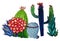 Cacti collection with flowers, branches and other succulents