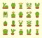 Cacti. Desert plants for terrariums and rock gardens. Flat icon