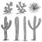 Cacti group. Prickly pear cactus, blue agaves, and saguaro. Hand drawn cactus vector. Grey and pink palette