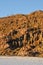 Cacti on an island at Salar de Uyuni