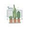 Cacti near window with word Today flat vector illustration