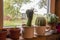 Cacti plant in pots on windowsill in village.