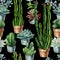 Cacti seamless pattern watercolor. Cactus illustration.