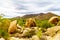 Cacti, Shrubs and large Rocks and Boulders in the Arizona Desert