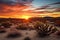 cacti silhouetted against a spectacular desert sunset