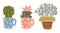 Cacti and Succulents in Colorful Pots Vector