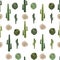 Cacti and tumbleweed seamless pattern