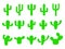 Cacti - vector collection. Cactus silhouettes. Flat cactus icons isolated on white