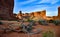 Cacti, Yuccas and various desert plants against the background of an erosional landscape in spring. Colorado