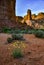 Cacti, Yuccas and various desert plants against the background of an erosional landscape in spring. Colorado