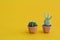 Cactus abstract minimal yellow background, Nature concept