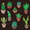 Cactus, agave and other plants in pots. Vector icon collection.