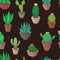 Cactus, agave, succulent and other plants seamless vector pattern.