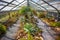 Cactus and Aloe greenhouse in Stellenbosch University Botanical Garden.