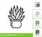 Cactus aloe succulent simple thin line vector icon