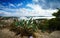 Cactus, amazing sky and panoramic view of Hvar city and the bay from the Spanish fortress.