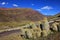 Cactus in the andean mountains